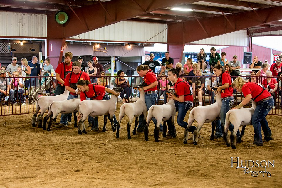 LCFAIR-081718-6727.jpg