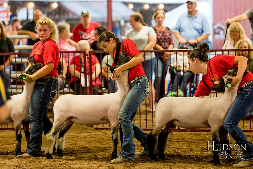 LCFAIR-081718-6733.jpg