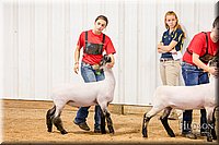 LCFAIR-081718-6652.jpg