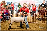LCFAIR-081718-6677.jpg