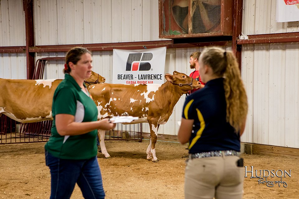 LCFAIR-081718-6580.jpg