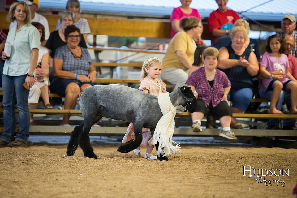LCFAIR-081718-6946.jpg