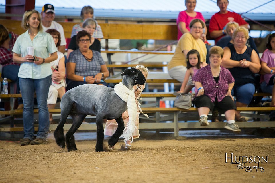 LCFAIR-081718-6947.jpg