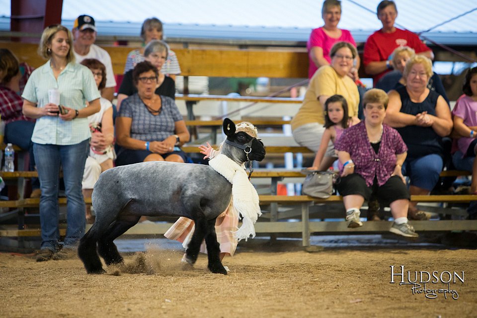 LCFAIR-081718-6948.jpg