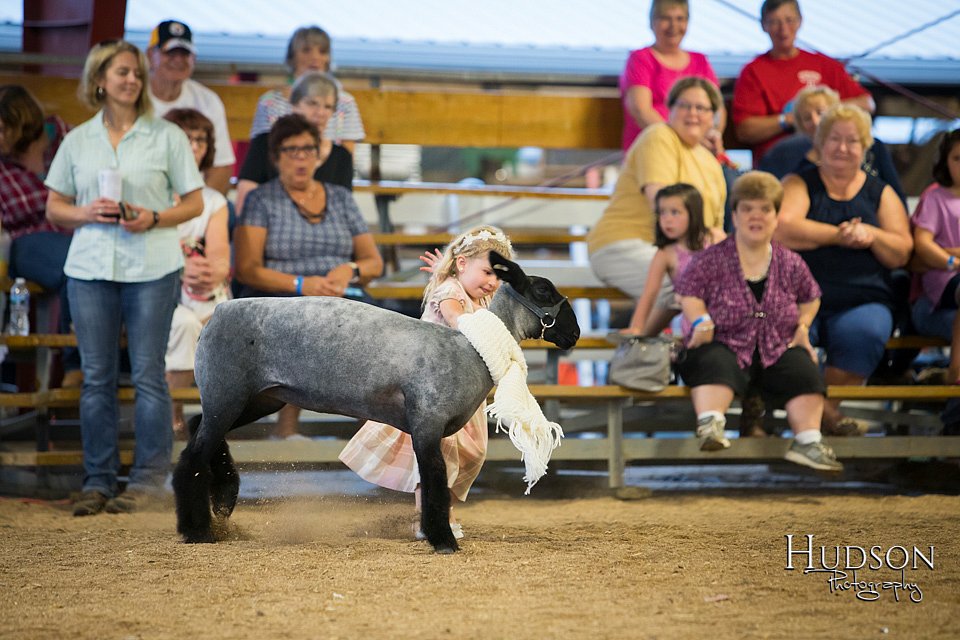 LCFAIR-081718-6949.jpg