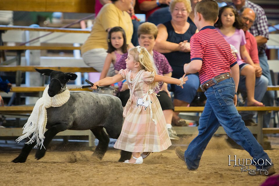 LCFAIR-081718-6953.jpg