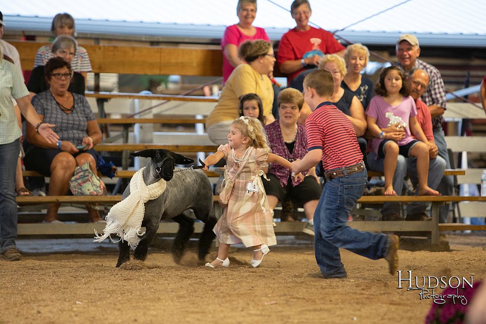 LCFAIR-081718-6954.jpg