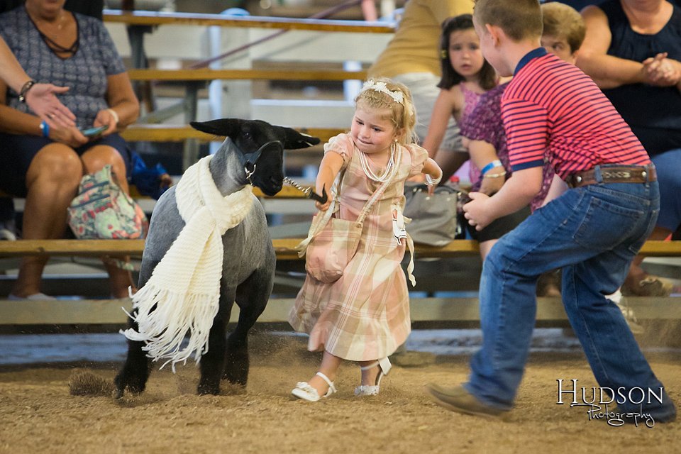LCFAIR-081718-6955.jpg
