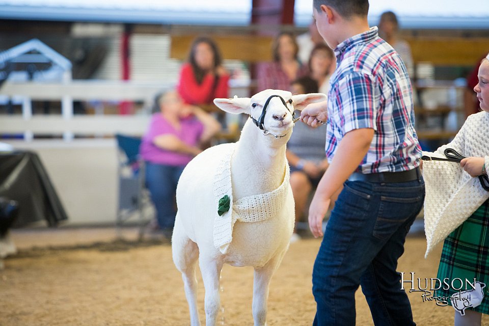LCFAIR-081718-7018.jpg