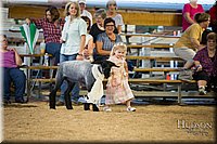 LCFAIR-081718-6943.jpg