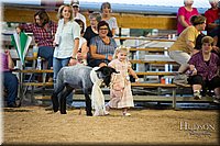 LCFAIR-081718-6944.jpg