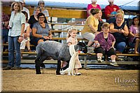 LCFAIR-081718-6945.jpg