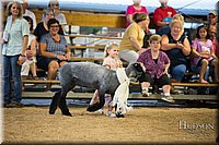 LCFAIR-081718-6946.jpg