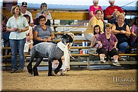 LCFAIR-081718-6947.jpg
