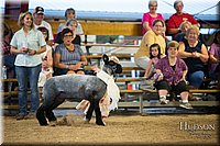 LCFAIR-081718-6948.jpg