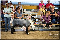 LCFAIR-081718-6949.jpg