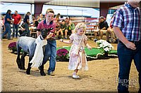 LCFAIR-081718-6963.jpg