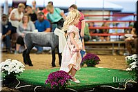 LCFAIR-081718-6980.jpg