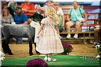 LCFAIR-081718-6982.jpg