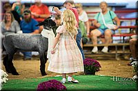 LCFAIR-081718-6983.jpg