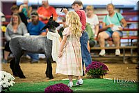 LCFAIR-081718-6985.jpg