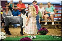 LCFAIR-081718-6986.jpg