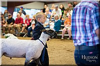 LCFAIR-081718-6999.jpg
