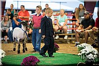 LCFAIR-081718-7001.jpg