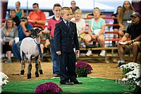 LCFAIR-081718-7003.jpg