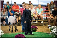 LCFAIR-081718-7005.jpg