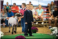 LCFAIR-081718-7007.jpg