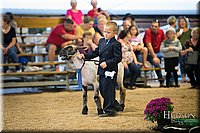 LCFAIR-081718-7009.jpg