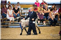 LCFAIR-081718-7010.jpg