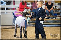 LCFAIR-081718-7011.jpg