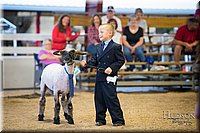 LCFAIR-081718-7012.jpg
