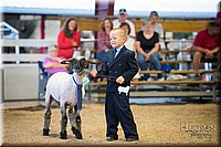 LCFAIR-081718-7013.jpg