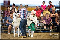 LCFAIR-081718-7015.jpg