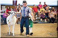 LCFAIR-081718-7017.jpg