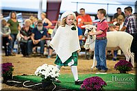 LCFAIR-081718-7038.jpg
