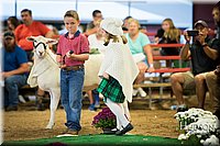 LCFAIR-081718-7045.jpg