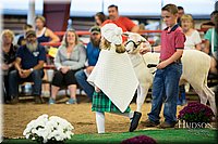 LCFAIR-081718-7046.jpg
