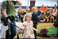 LCFAIR-081718-7057.jpg