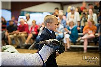 LCFAIR-081718-7069.jpg