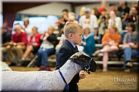 LCFAIR-081718-7070.jpg