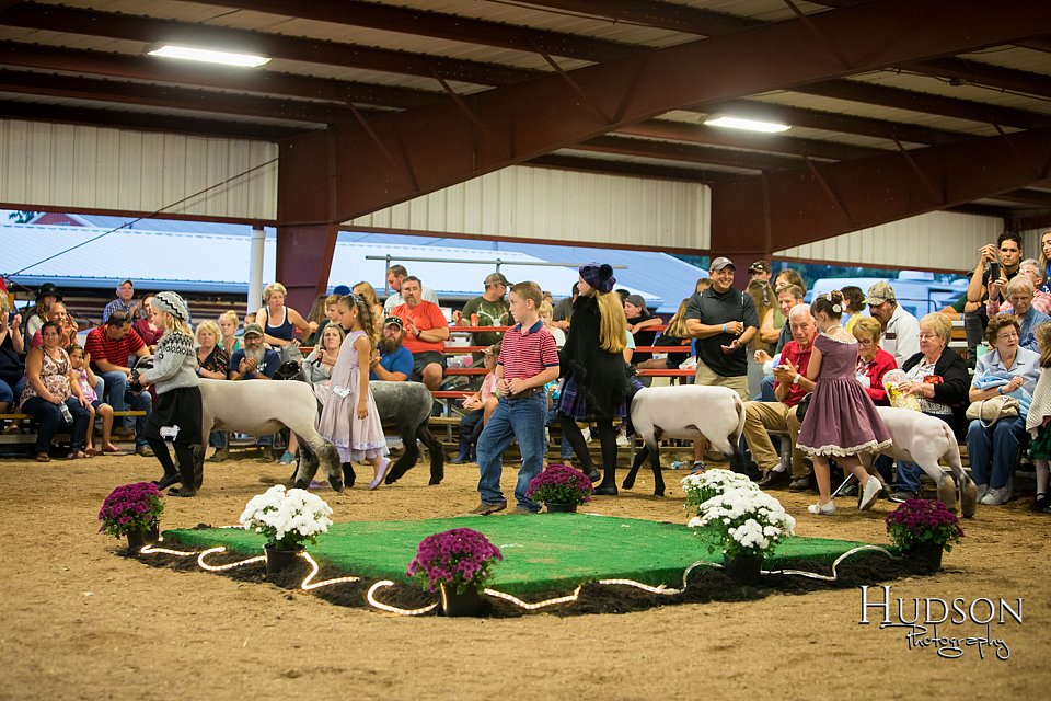 LCFAIR-081718-7202.jpg