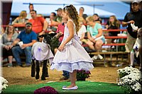 LCFAIR-081718-7122.jpg