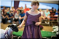 LCFAIR-081718-7172.jpg
