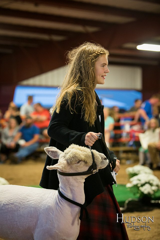 LCFAIR-081718-7346.jpg