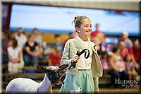 LCFAIR-081718-7216.jpg