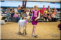 LCFAIR-081718-7236.jpg